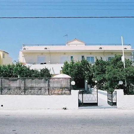 Lemon Trees
